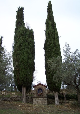 Tabernacolo di Gello, incorniciato da alti cipressi e olivi, in un paesaggio caratteristico toscano.