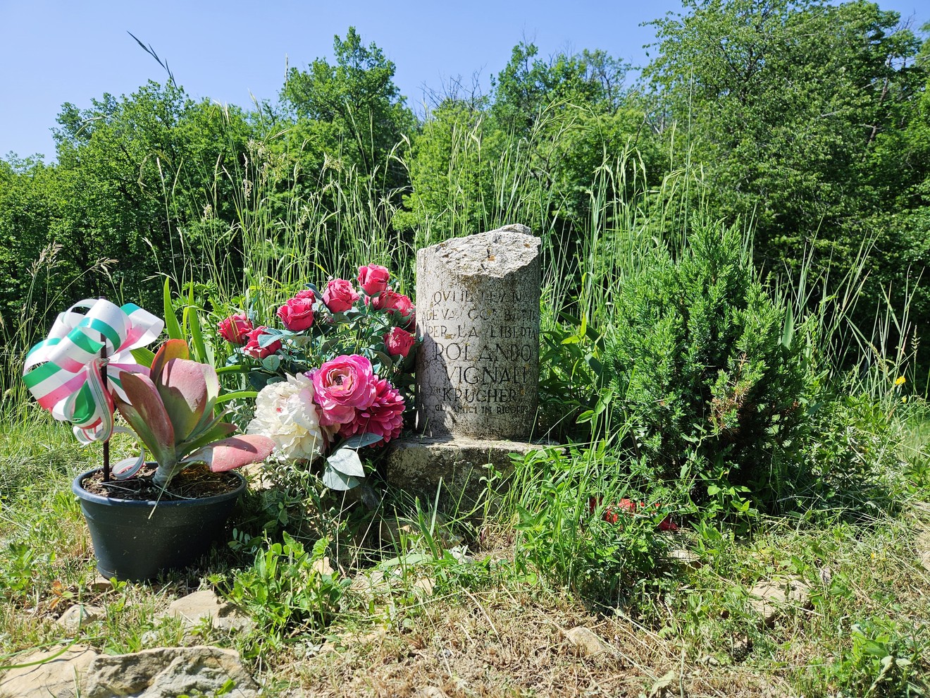Cippo a Vignali, Comune di Bore (PR), foto 1