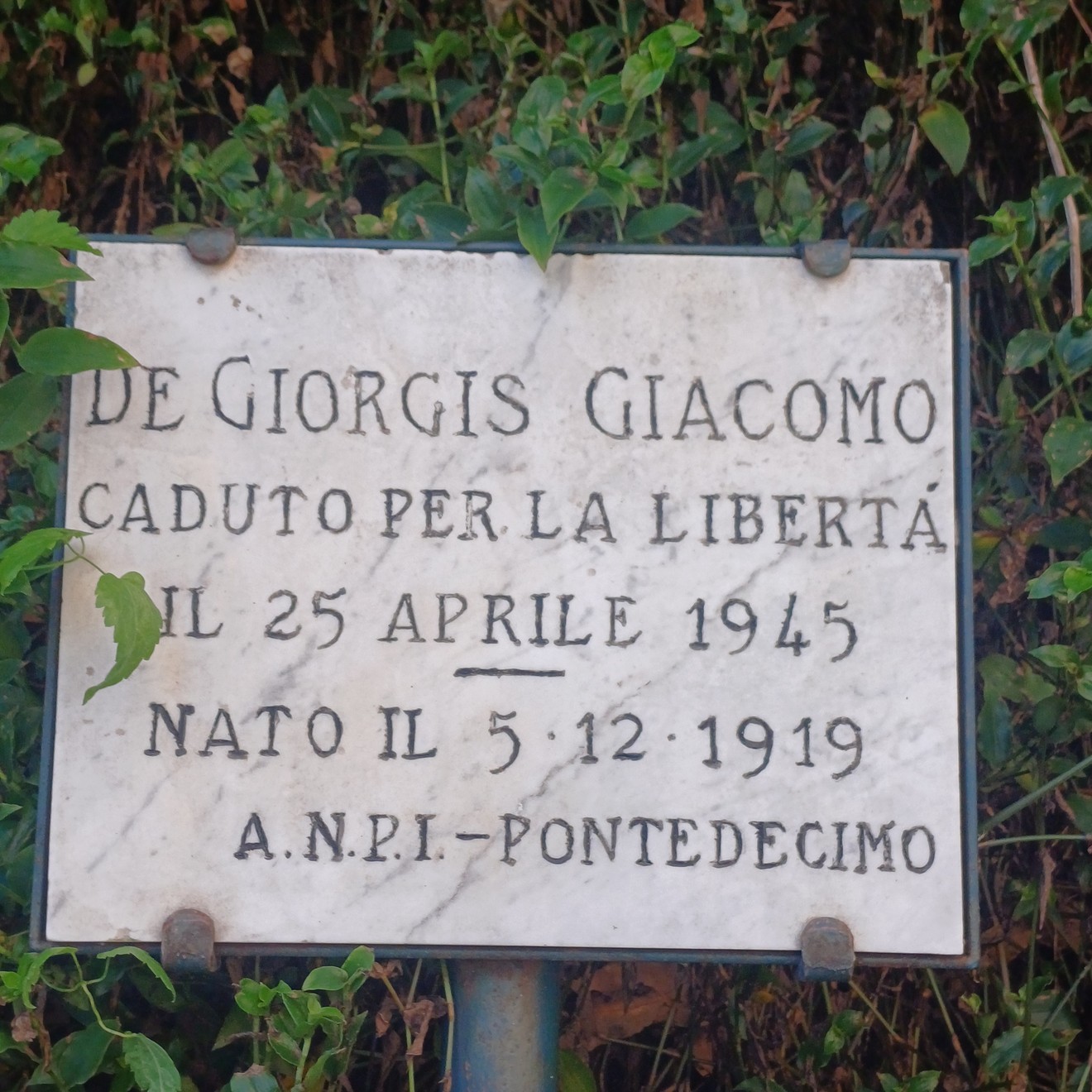 Lapide di marmo con iscrizione, fissata a un supporto metallico tra la vegetazione.