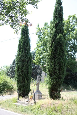Cippo commemorativo circondato da alti cipressi in un'area verde e naturale.