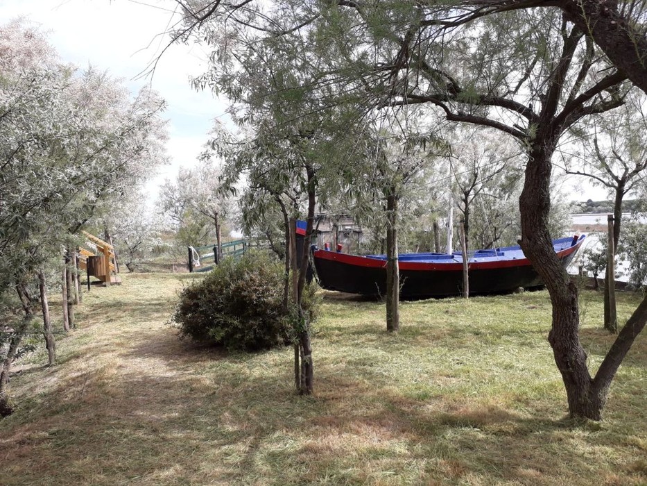 Isola degli Spinaroni: natura e tranquillità con una barca colorata immersa nel verde.