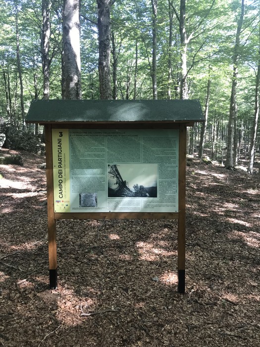 Campo del 7° battaglione "Ovidio Sabatini" immerso nel bosco, con pannello informativo in legno.