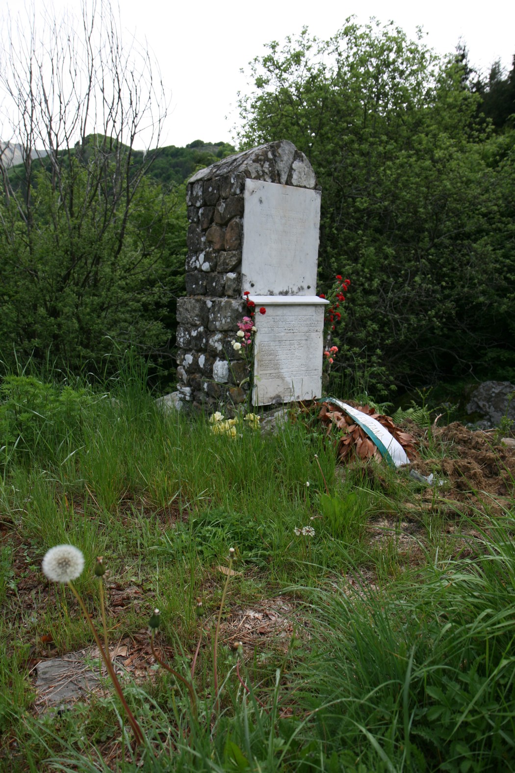 Monumento commemorativo a Manfroni e Savini, immerso nella vegetazione.