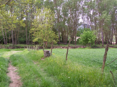 Un tranquillo paesaggio naturale con un cippo, circondato da alberi e un campo verde.