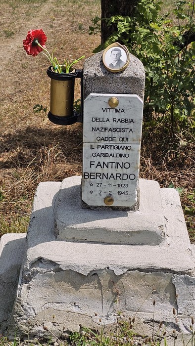 Cippo a Fantino, Comune di Borgo San Dalmazzo (CN), foto 2