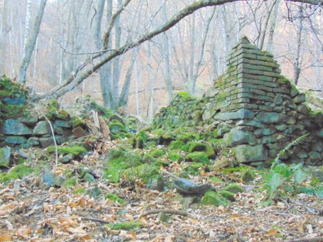Rovine avvolte dalla natura, con muratura in pietra circondate da vegetazione lussureggiante.