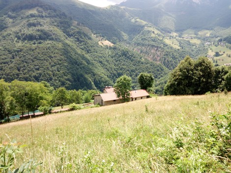 Vista panoramica del Baitone della Pianca immerso nella natura montana, circondato da alberi e prati verdi.