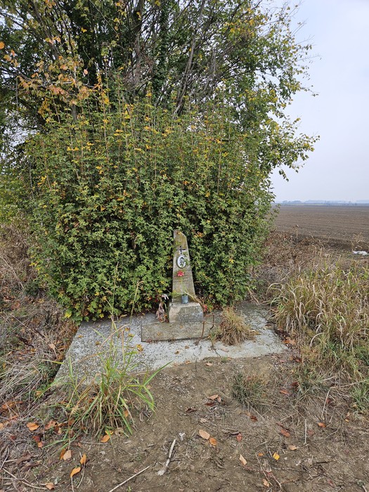 Cippo in pietra con iscrizione, ai piedi di una siepe, ai margini di un campo coltivato.