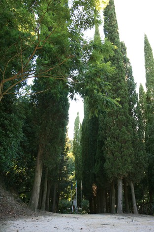 Monumento commemorativo situato tra Guardistallo e Montescudaio, immerso in un boschetto di cipressi.