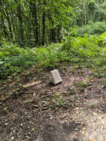 Cippo a Baldes immerso nella natura circondato da vegetazione e alberi, in un'area tranquilla e verdeggiante.