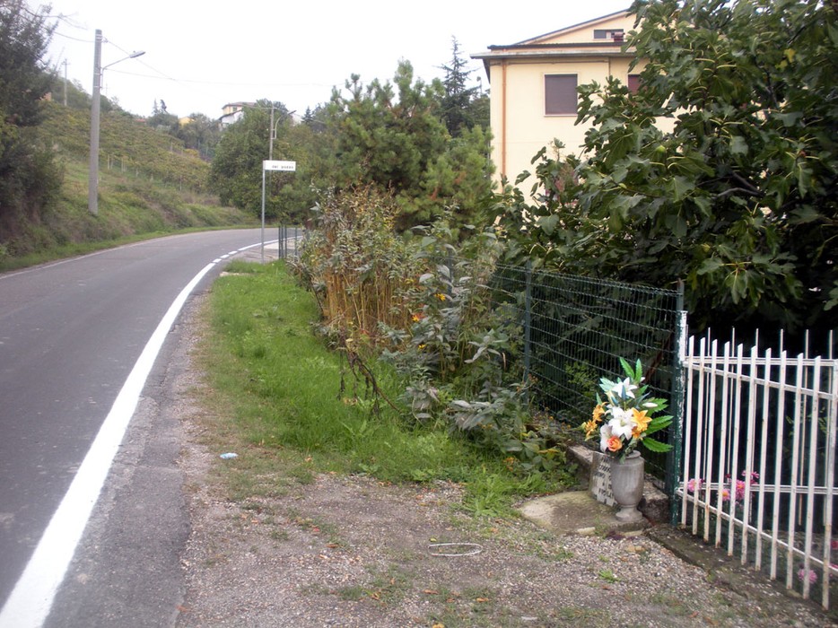 Lapide commemorativa a Codognelli, situata lungo una strada immersa nella natura.