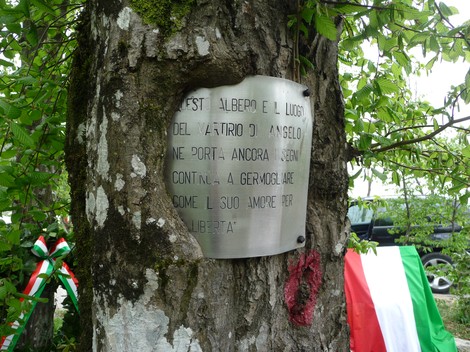 Monumento dedicato a Gotti, incastonato in un albero, con una placca commemorativa e bandiere tricolori.