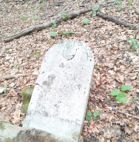 Cippo dedicato a un partigiano, immerso nella vegetazione di un bosco, circondato da foglie e rami.