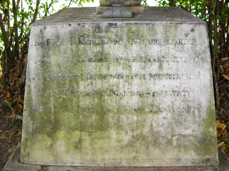 Cippo commemorativo dedicato ai caduti, immerso nella natura con una patina di muschio.