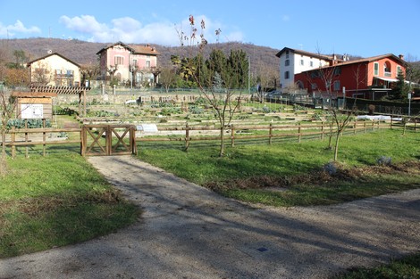 Pietra d'inciampo a Savio in un orto urbano, circondato da case e natura. Un luogo di memoria e riflessione.