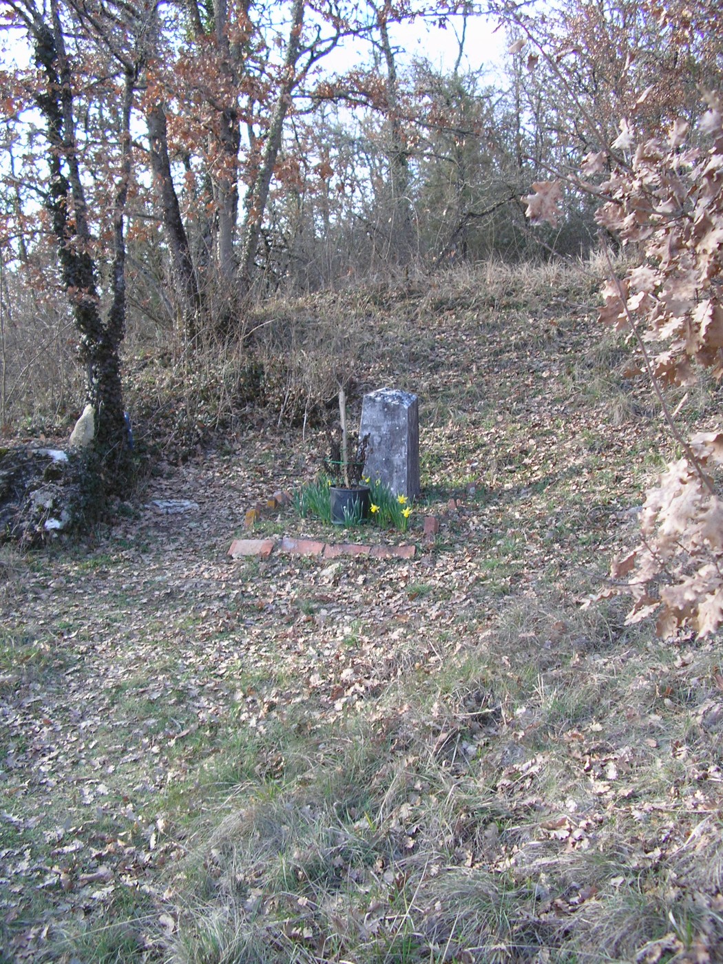 Cippo a Mori in un ambiente naturale, circondato da alberi e foglie secche, con un piccolo vaso floreale.
