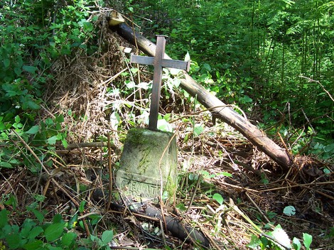 Croci di Carbonettoli, simboli di memoria immersi nella natura, circondati da vegetazione e silenzio.