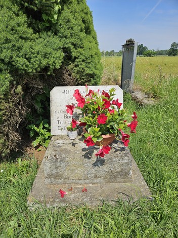Lapide decorata con fiori rossi, circondata da verde, in un campo soleggiato. Atmosfera di serenità e ricordo.