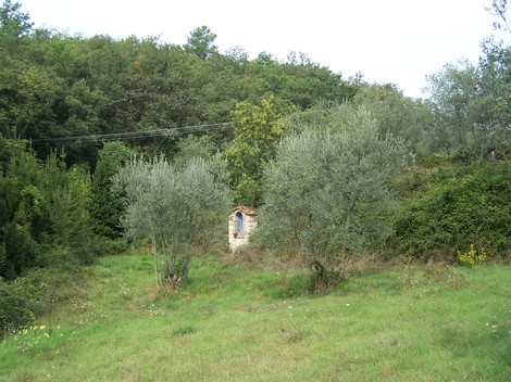 Un piccolo tabernacolo di cucina immerso nella natura, circondato da alberi e vegetazione.