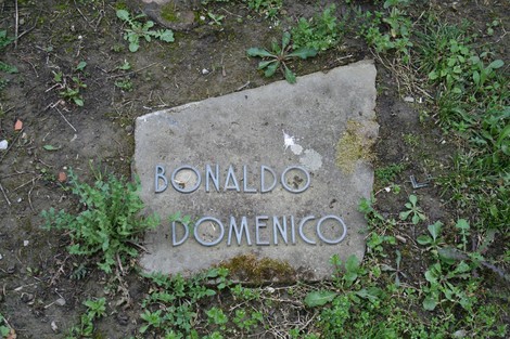 Monumento commemorativo nel cimitero di Stia, con lapide dedicata a Bonaldo Domenico.