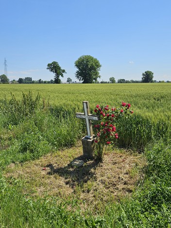 Croce ad Azzali, Comune di Cingia de' Botti (CR), foto 2