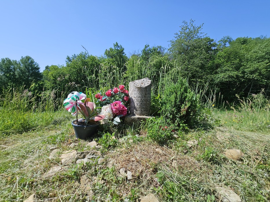 Cippo a Vignali, Comune di Bore (PR), foto 2