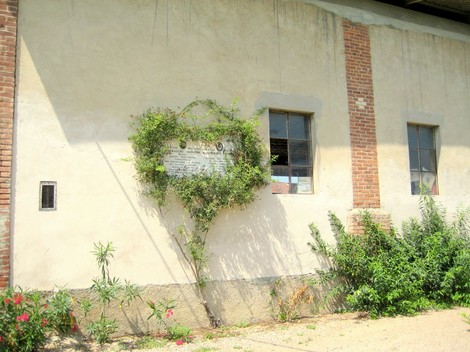 Lapide commemorativa dedicata a Corradino e Manfrinato, affissa su un muro con piante che la circondano.