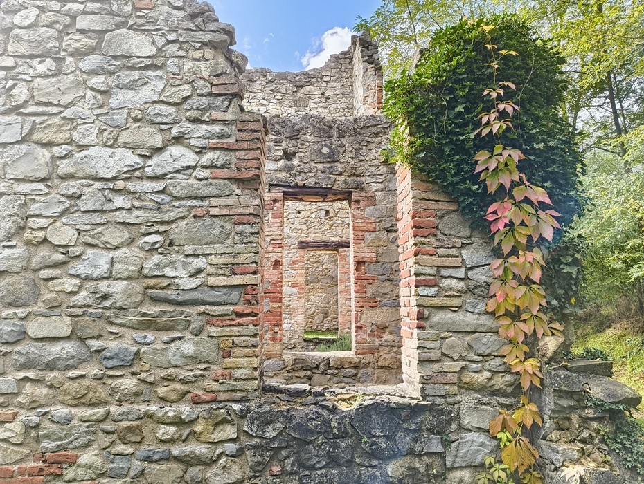 Rovine in pietra dell'oratorio di Cerpiano, circondate da vegetazione e segni del tempo.