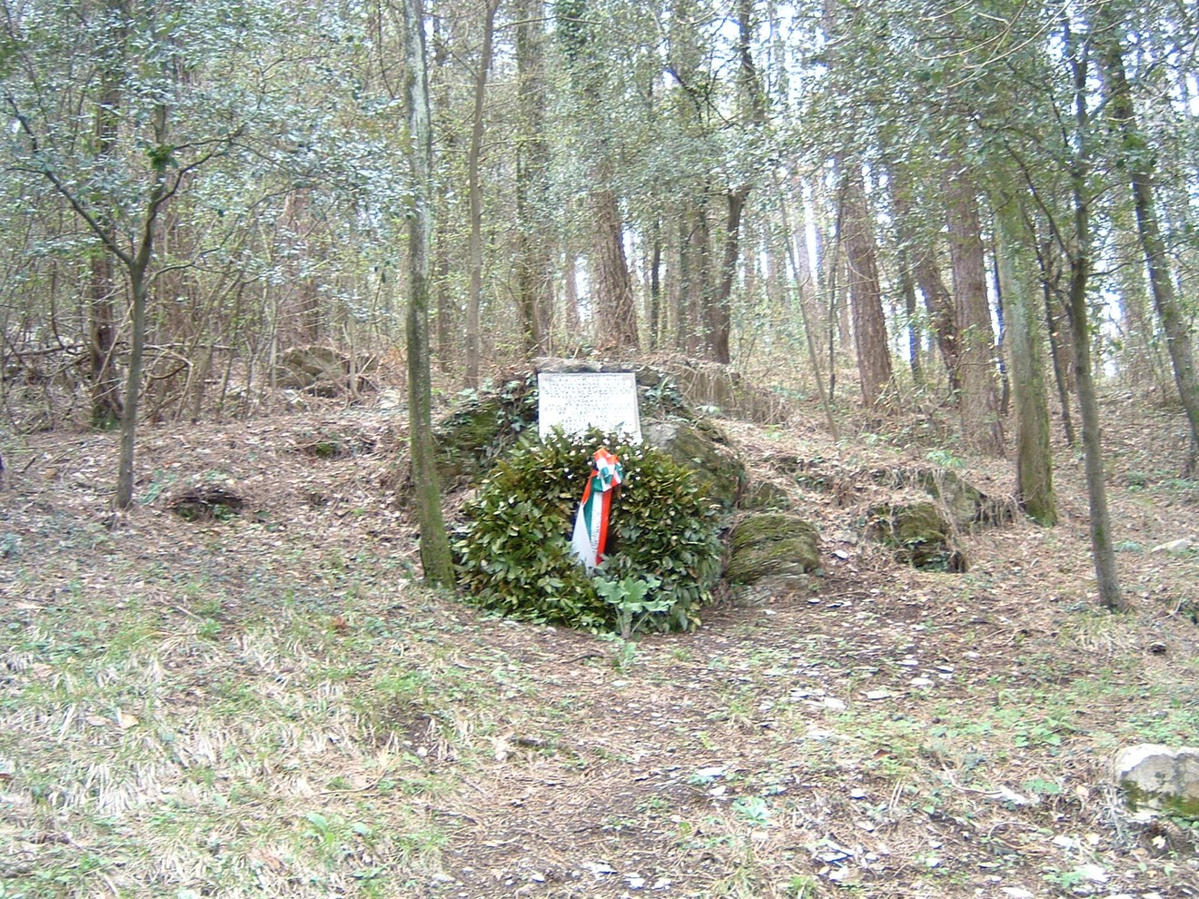 Monumento a Checcucci, immerso nella natura, circondato da alberi e vegetazione.