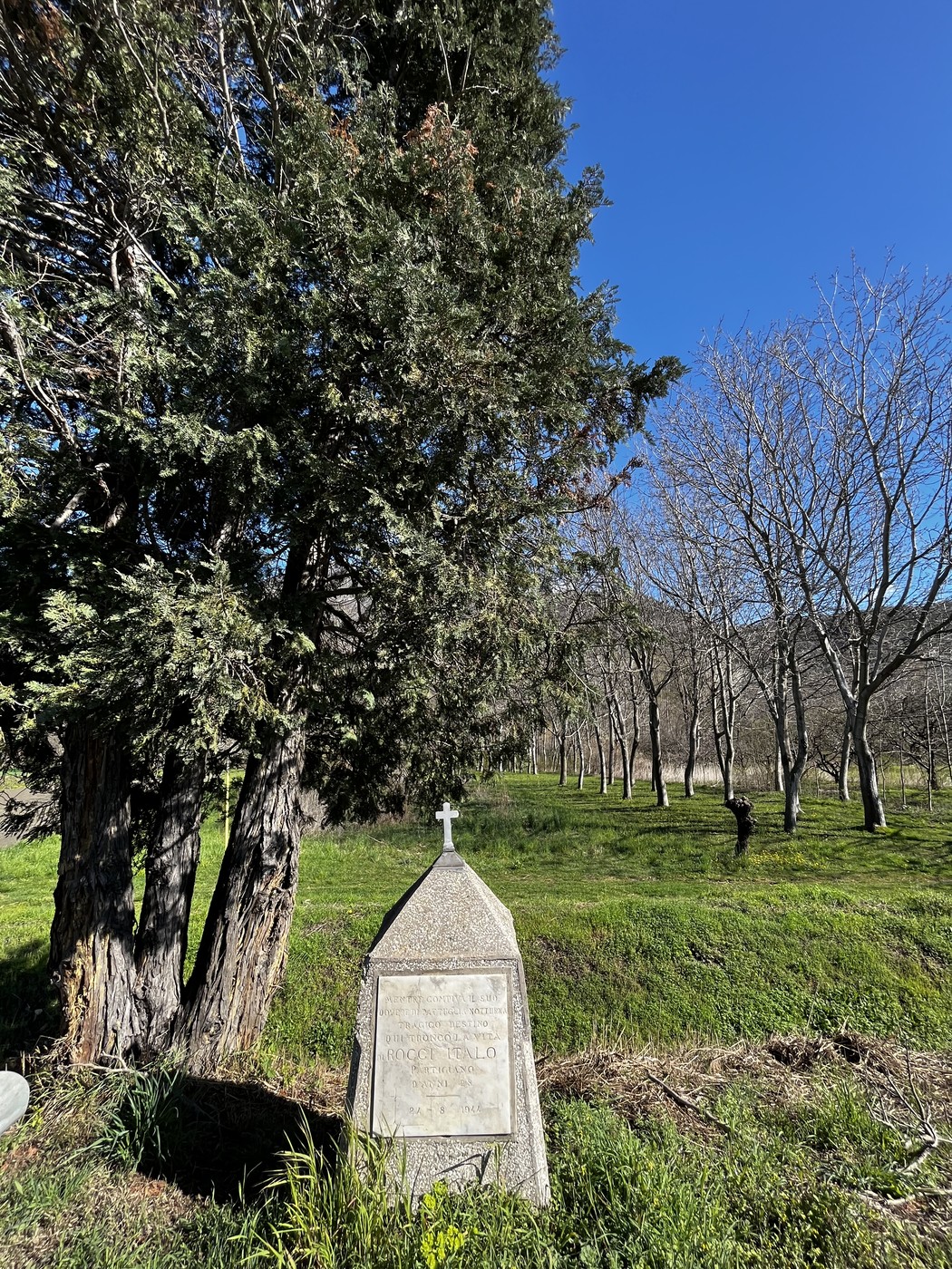 Cippo a Rocci immerso nel verde, con alberi e cielo azzurro sullo sfondo.