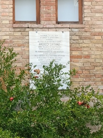 Lapide commemorativa in pietra dedicata a Amedeo Lattanzi, circondata da vegetazione e melograni.
