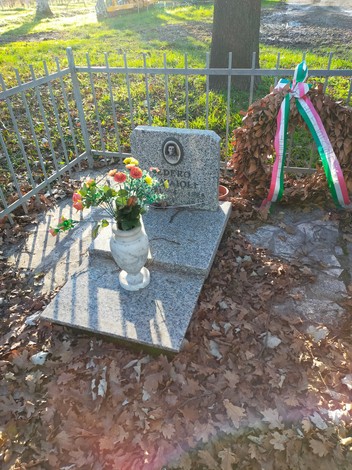 Monumento a Ravaioli, con fiori e decorazioni, immerso nel verde e circondato da foglie.