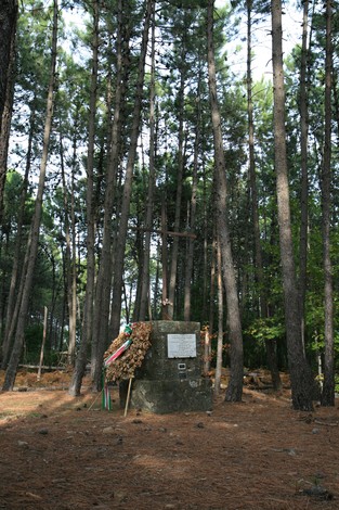 Monumento commemorativo dell'eccidio di Piavola, immerso in un bosco di alberi alti e circondato da pini.