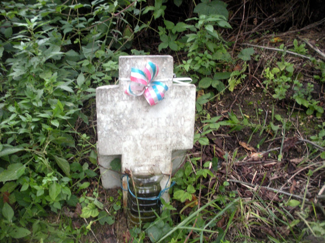 Cippo commemorativo di Barberini e Persico, circondato da vegetazione lussureggiante.