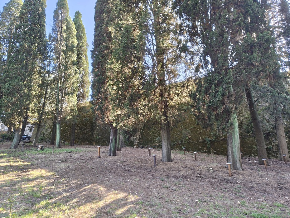 Parco della Rimembranza della Croce Rossa, Comune di Firenze (FI), foto 3