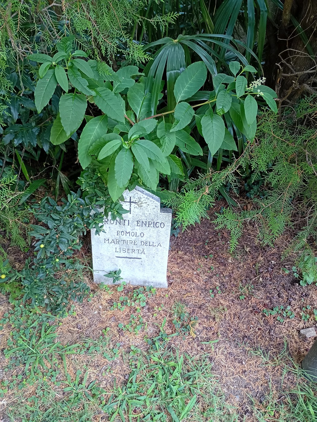 Cippo a Caronti, Comune di Menaggio (CO), foto 1