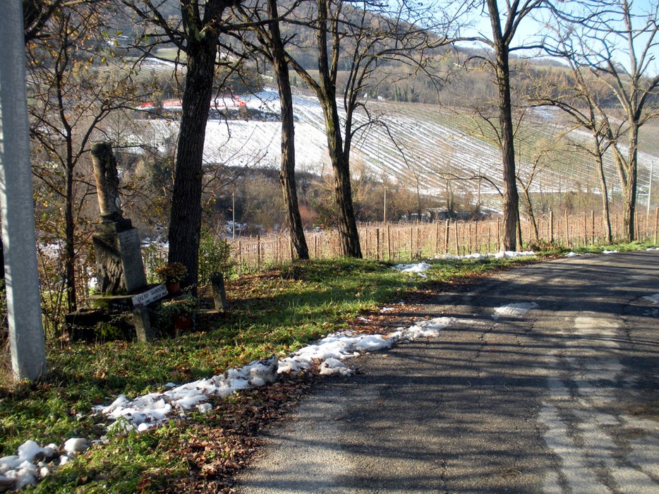 Cippo commemorativo immerso nella natura, circondato da vigneti e alberi in un paesaggio tranquillo.