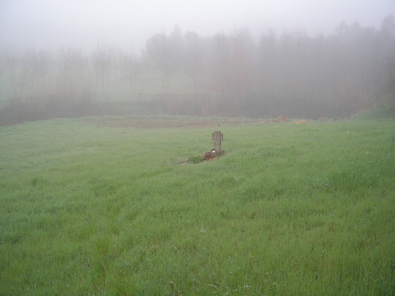 Cippo a Laschi immerso nella nebbia, circondato da un prato verde e alberi sullo sfondo.