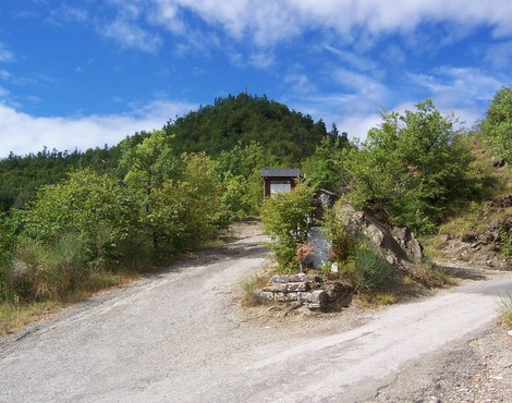 Percorso circondato dalla natura che conduce alla Lapide della Croce del Biserno, in un contesto panoramico.