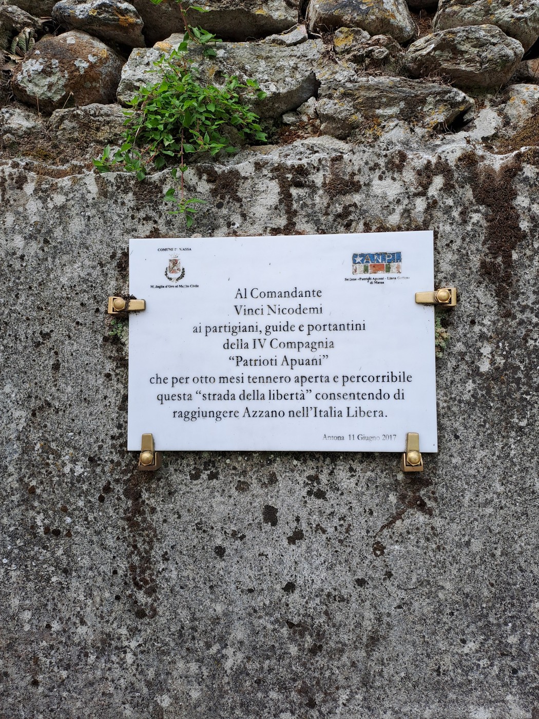 Lapide a Nicodemi, Comune di Massa (MS), foto 1