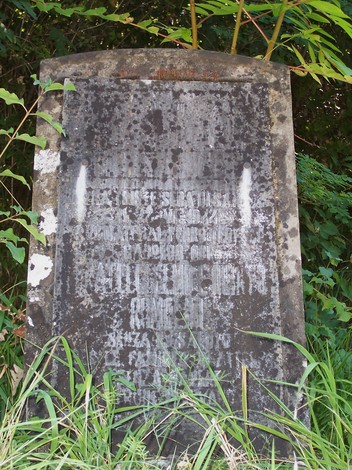Cippo commemorativo ai fratelli Romolini, immerso nella vegetazione, simbolo della memoria storica.