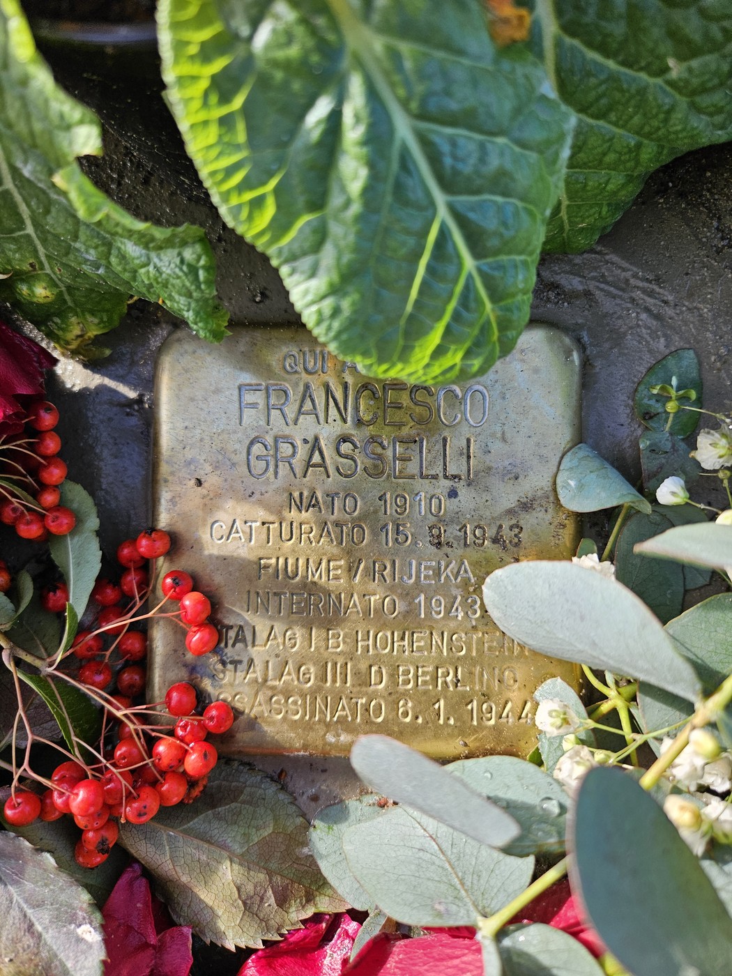 Pietra d'inciampo dedicata a Francesco Grasselli, con fiori e foglie circostanti.