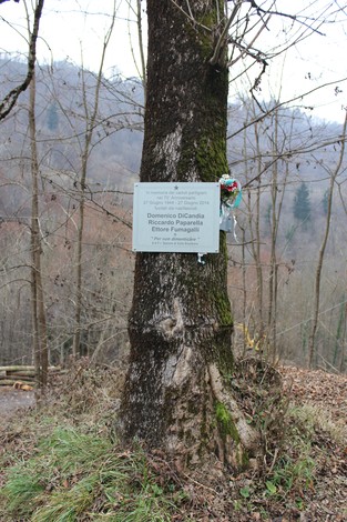 Targa commemorativa su un albero, dedicata a Domenico Di Candia, Riccardo Paparella ed Ettore Fumagalli.