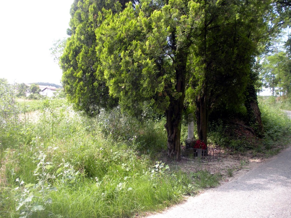 Cippo a Musetti immerso nella vegetazione, circondato da alberi e natura. Sentiero in primo piano.