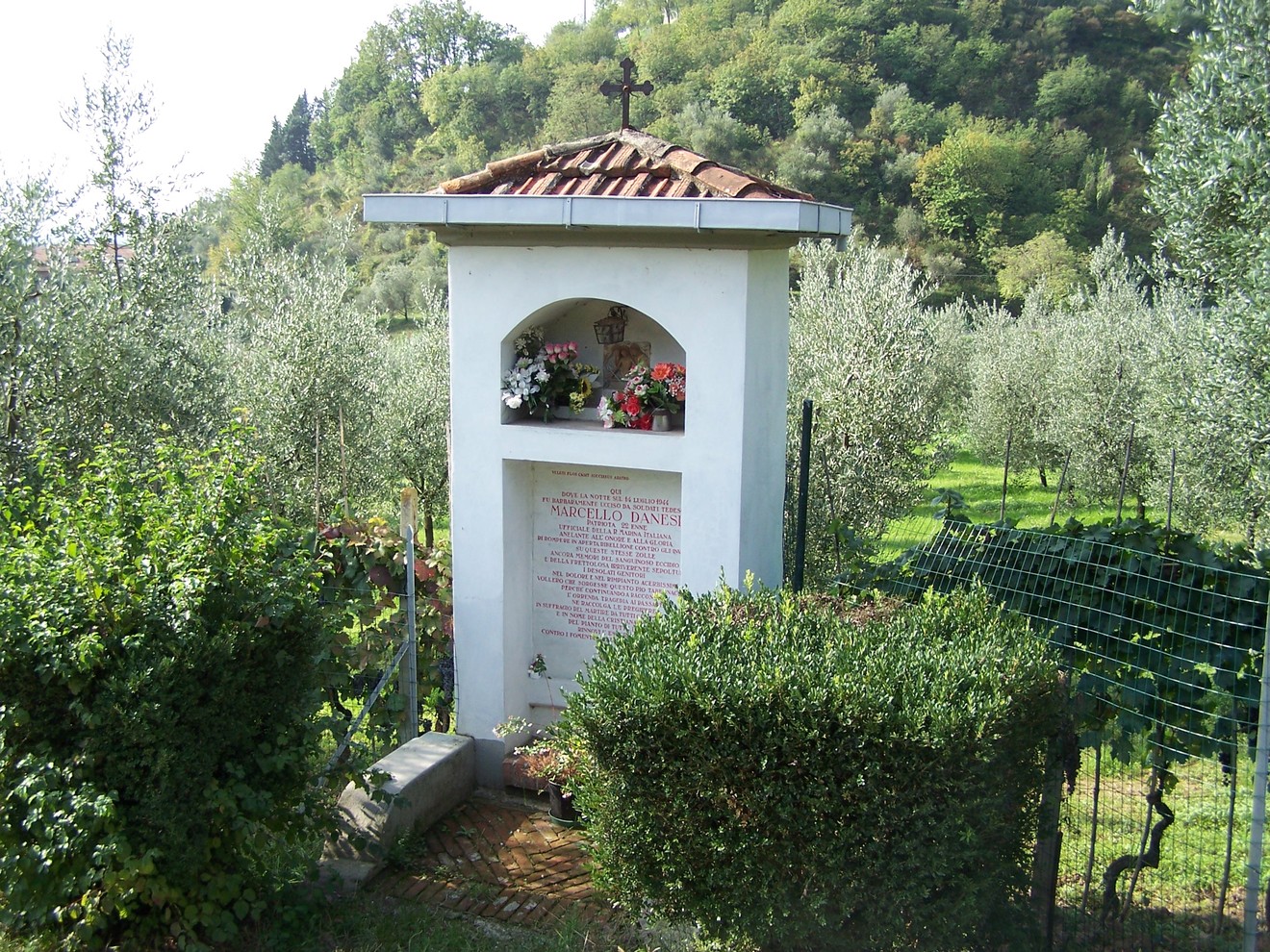 Tabernacolo del Beppaccino immerso tra gli ulivi, simbolo di devozione e tradizione locale.