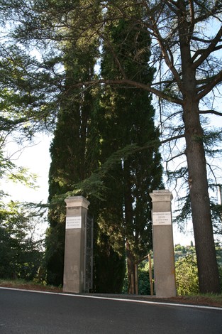 Monumento commemorativo per l'eccidio di Guardistallo e Montescudaio, circondato da alberi.