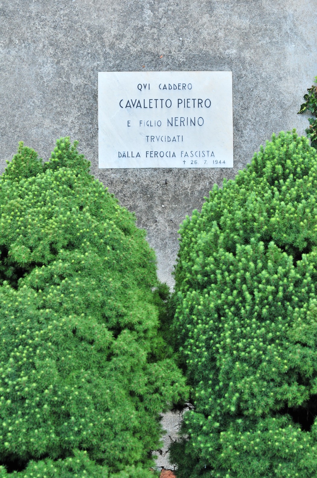 Lapide commemorativa di Pieto Cavaletto, vittima della ferocia fascista, circondata da piante verdi.