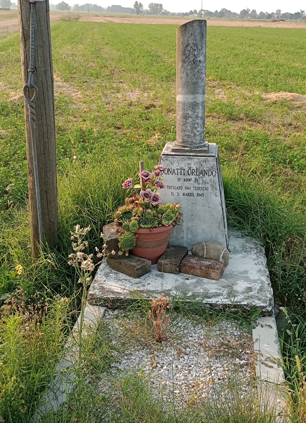 Cippo a Bonatti con pianta ornamentale, situato in un campo, simbolo di memoria.