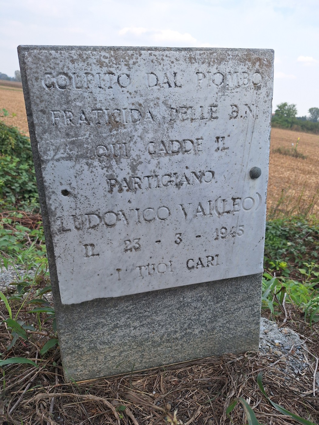 Cippo a Vai, Comune di Carmagnola (TO), foto 1