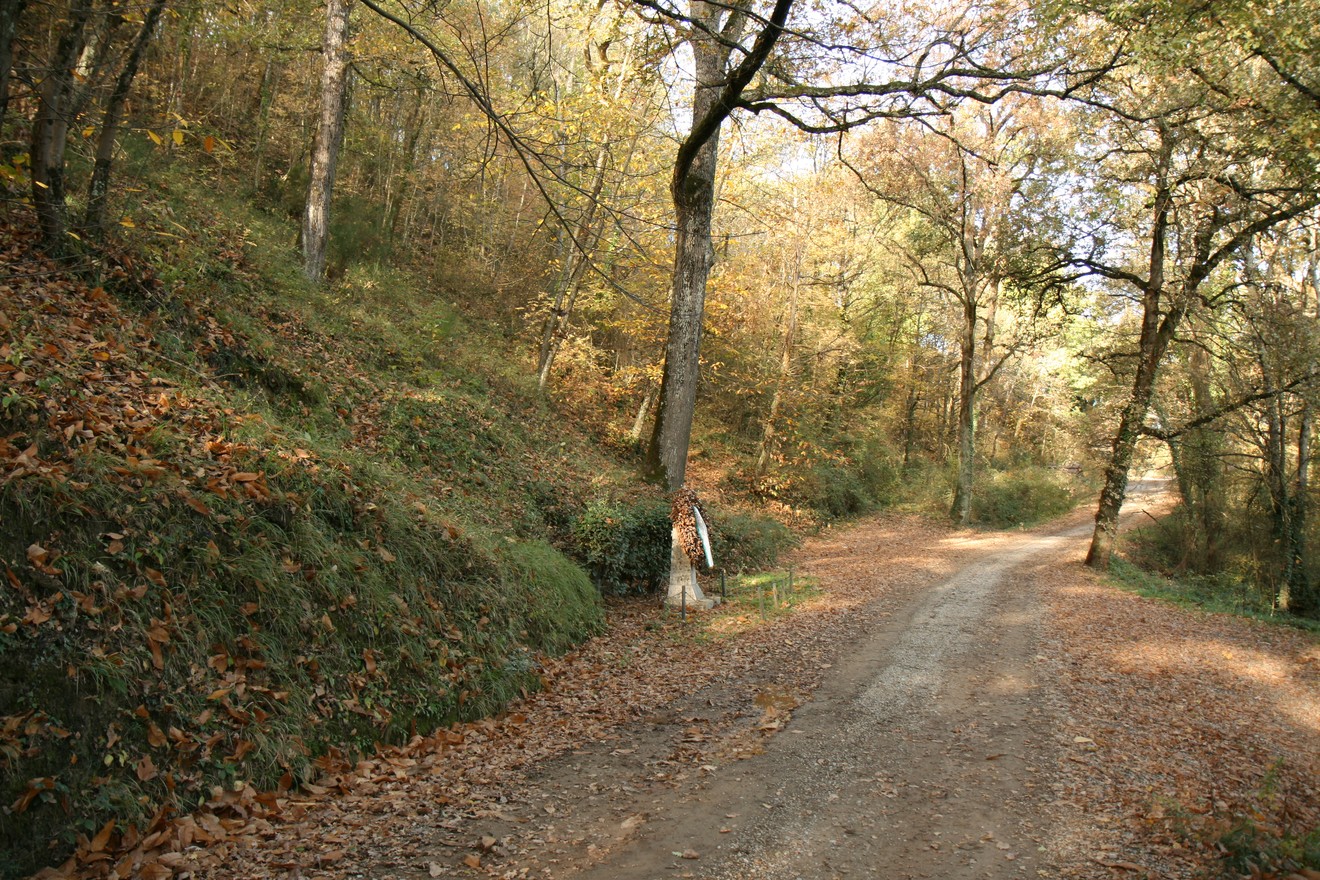 Cippo commemorativo dei partigiani immerso nella natura lungo una strada sterrata, circondato da alberi.